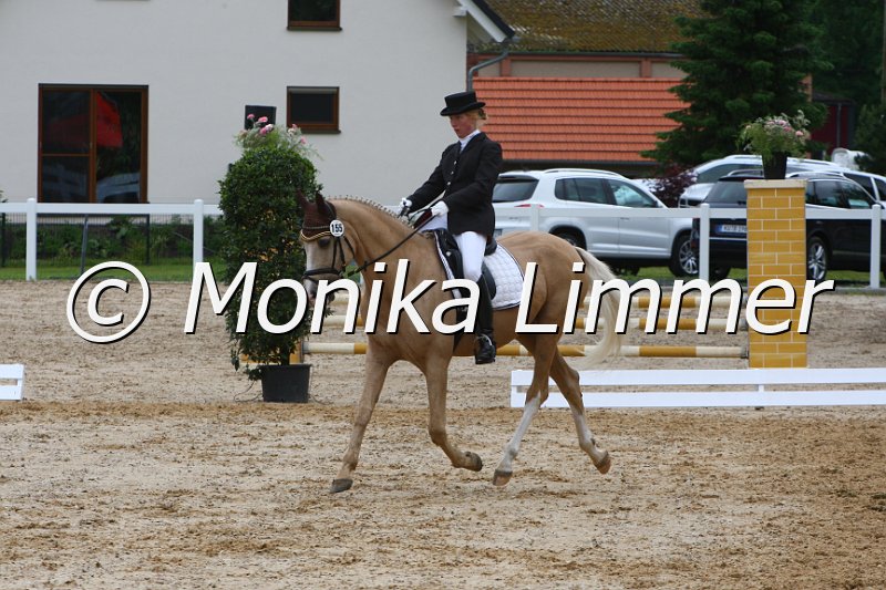 006M3733_Dressur L.JPG